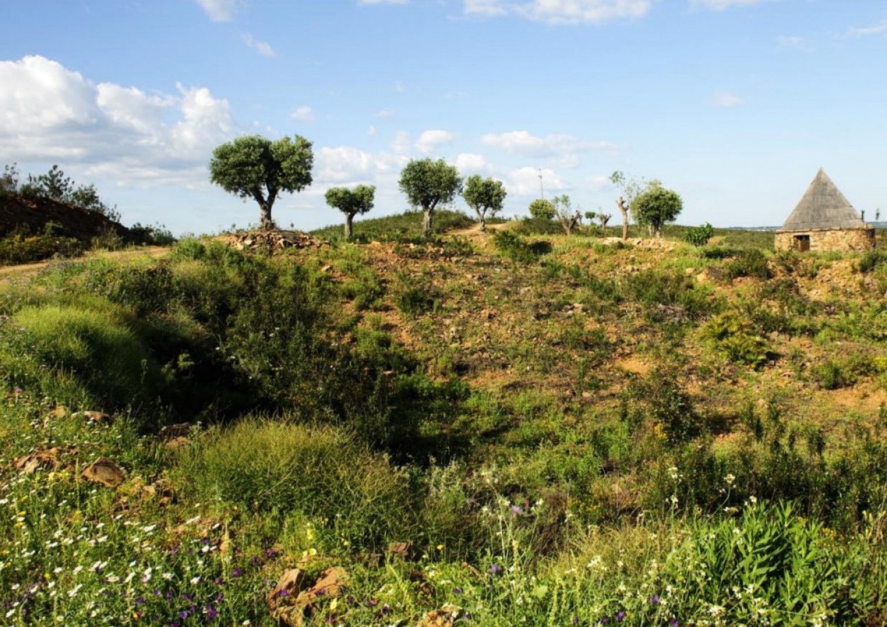 Terrain, avec projet approuvé, à vendre à Tavira, Algarve, Portugal_365111
