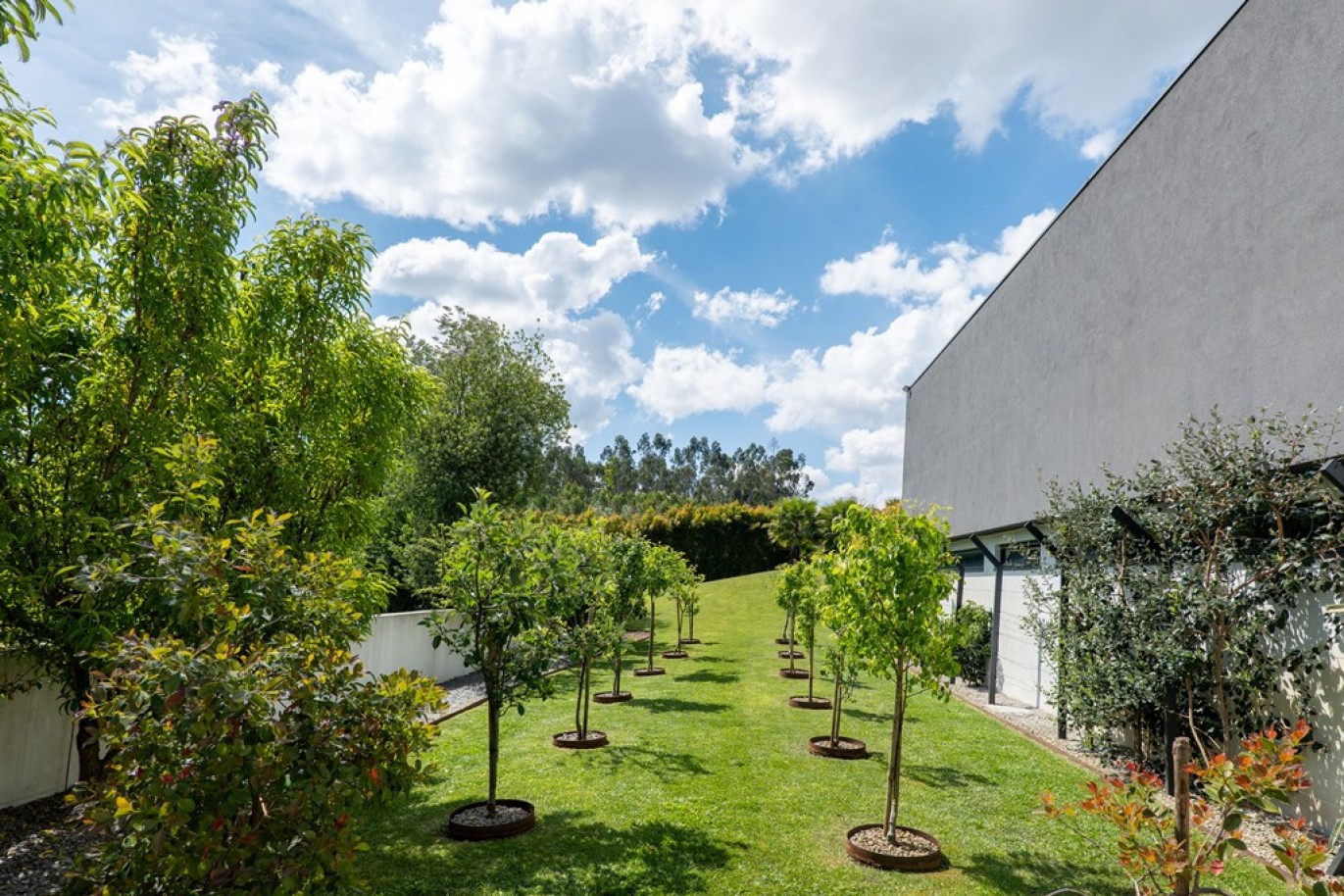 Moradia V5+2 com jardim e piscinas em Vila Nova de Famalicão_366463