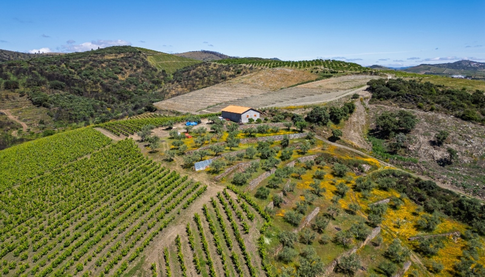 Hervorragendes Weingut im Douro-Tal, Portugal, zu verkaufen_368322