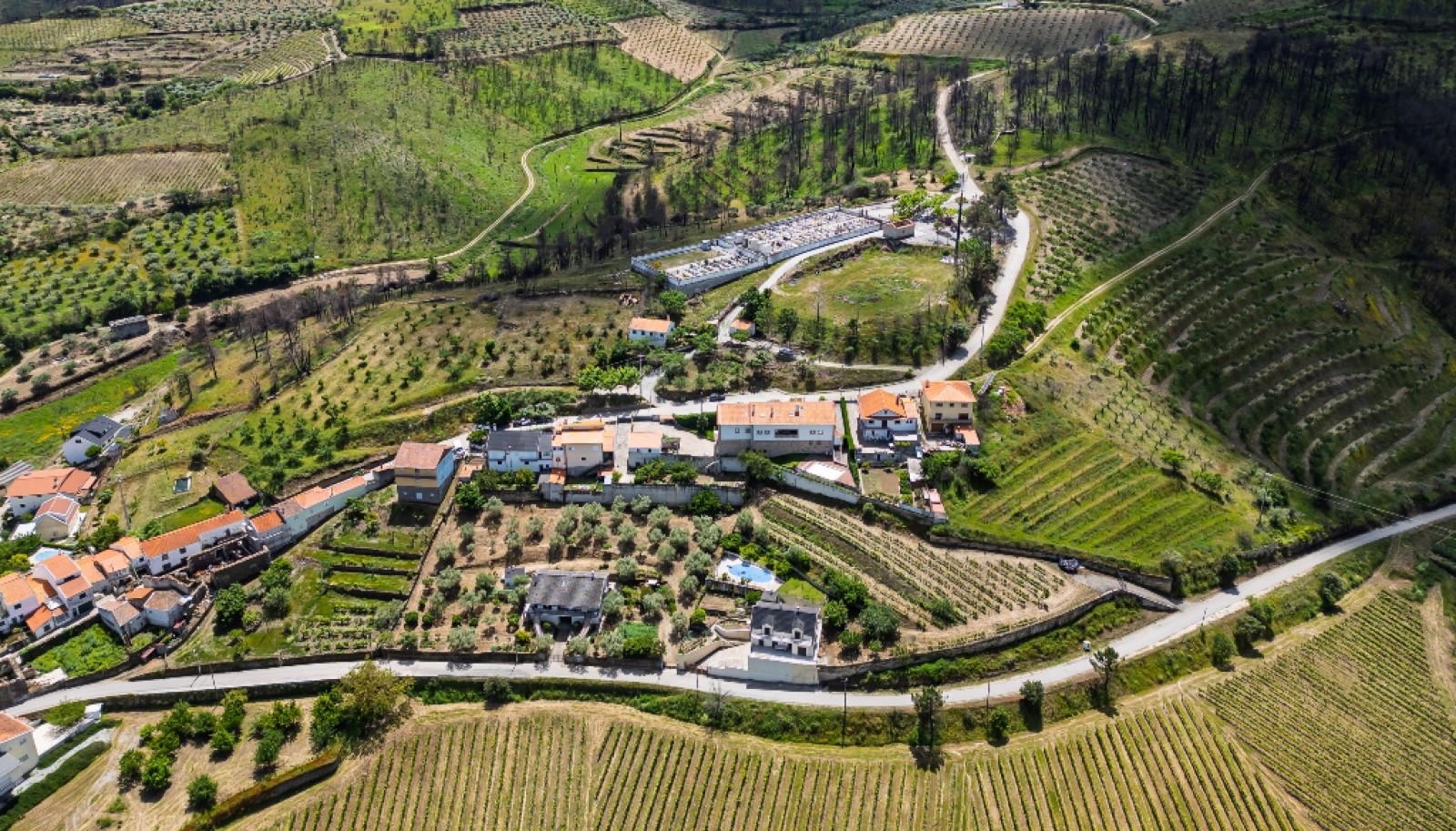 Hervorragendes Weingut im Douro-Tal, Portugal, zu verkaufen_368325