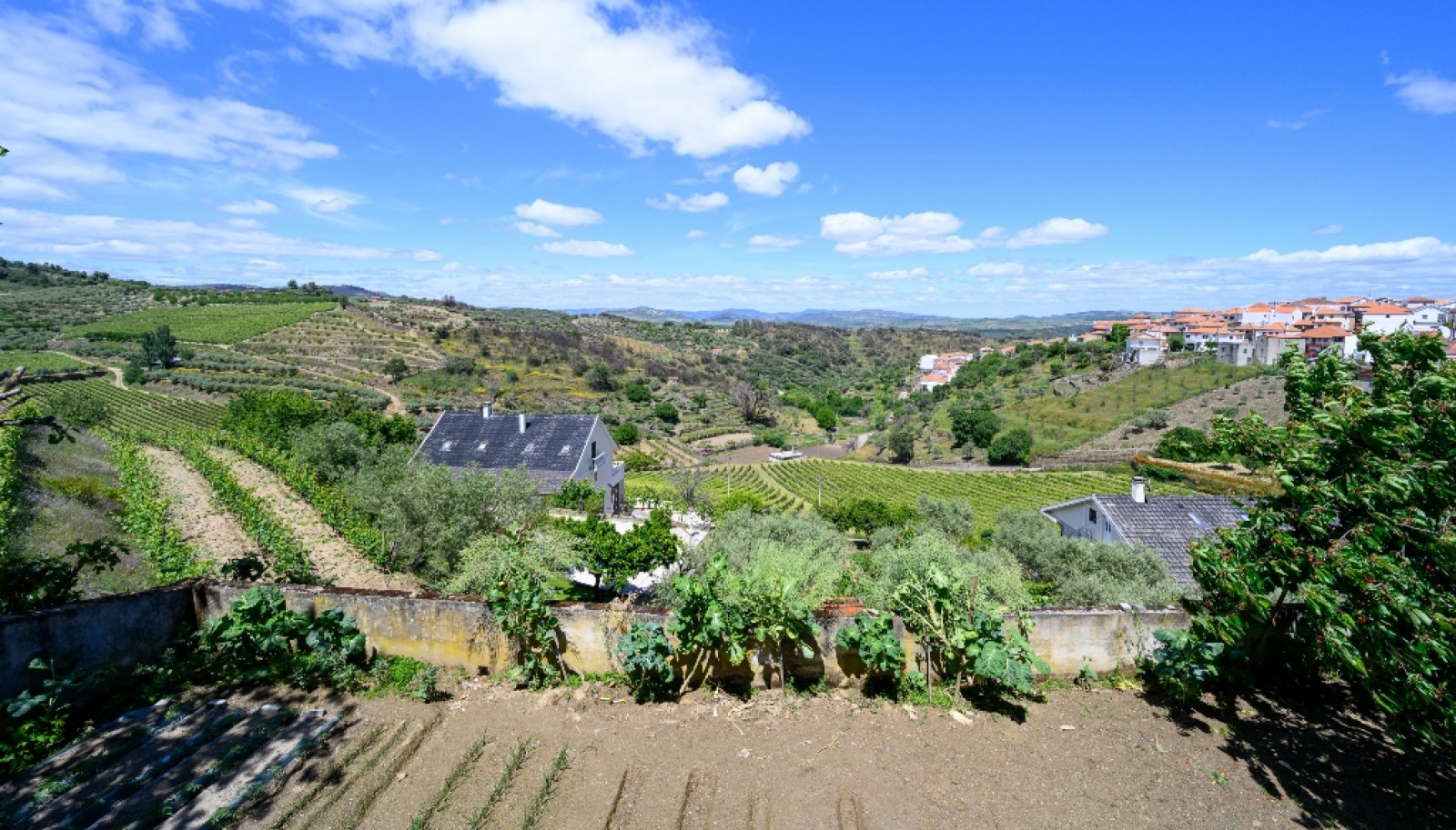 Hervorragendes Weingut im Douro-Tal, Portugal, zu verkaufen_368359
