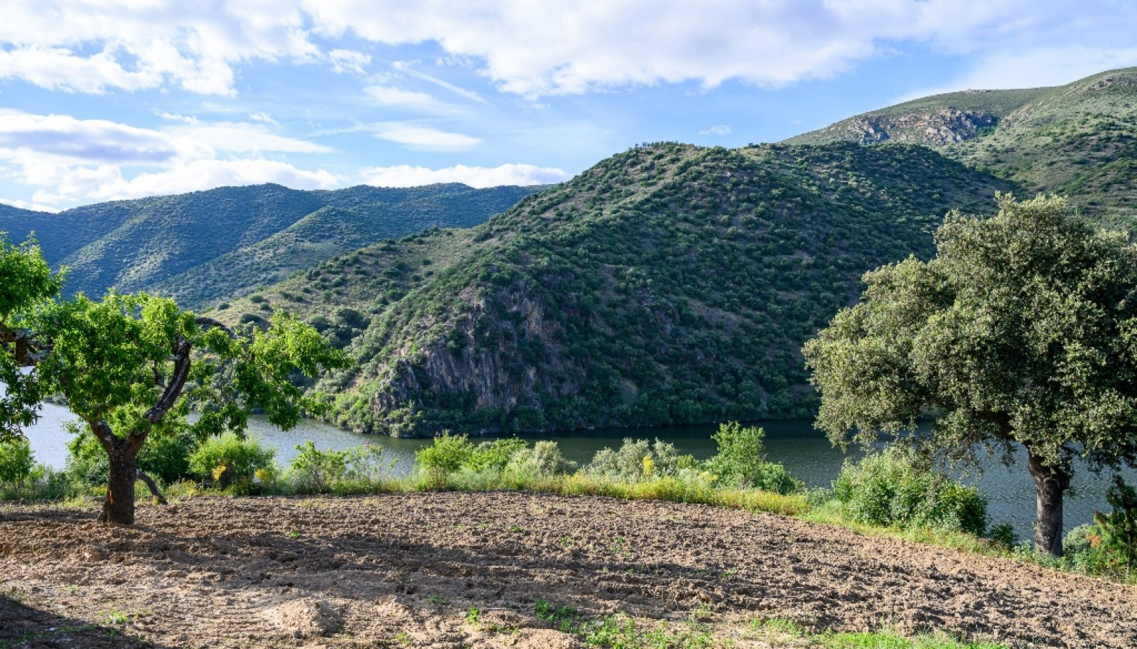 Magnifique domaine viticole à vendre dans la vallée du Douro, Portugal_371795