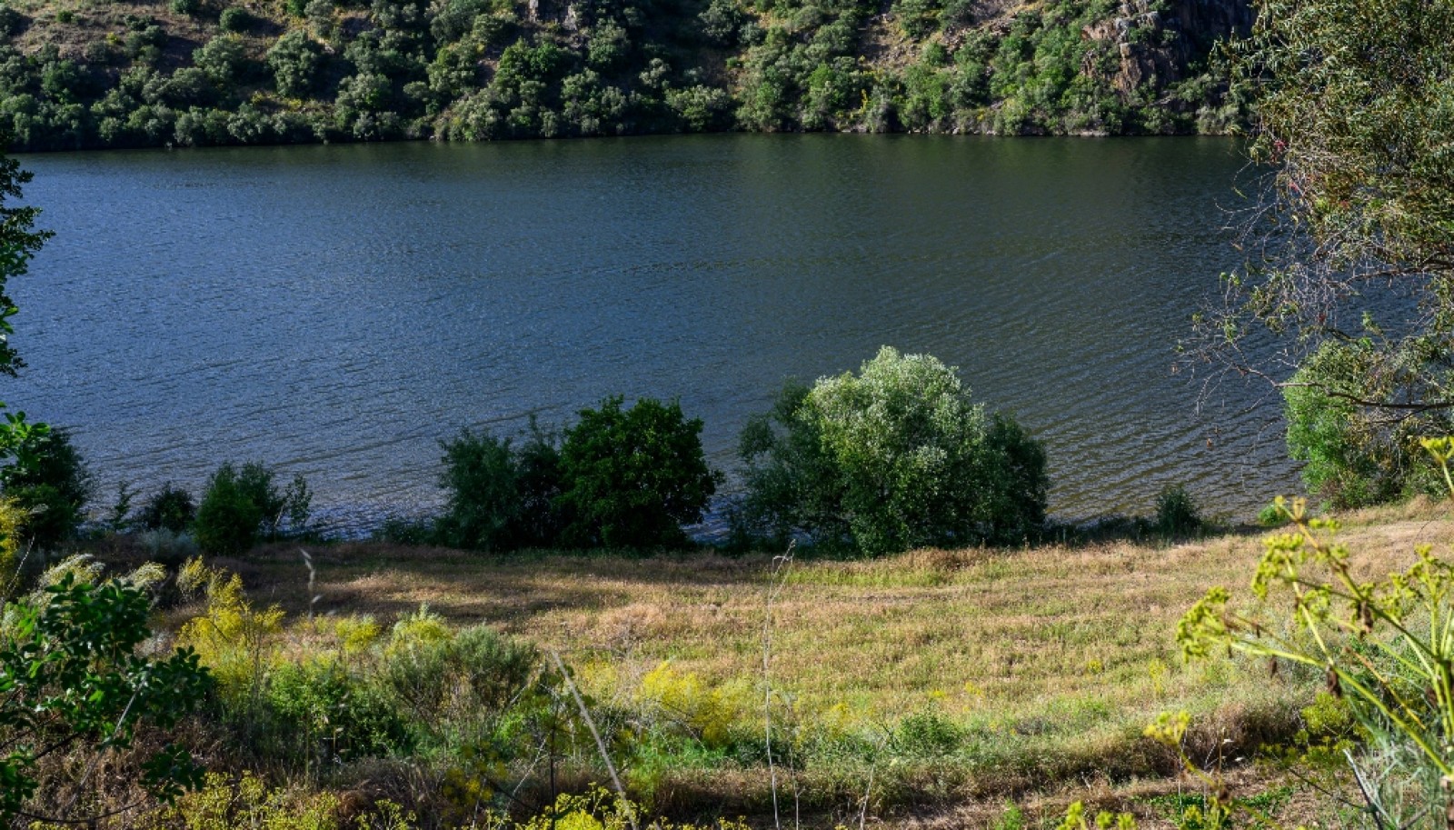 Magnifique domaine viticole à vendre dans la vallée du Douro, Portugal_371796