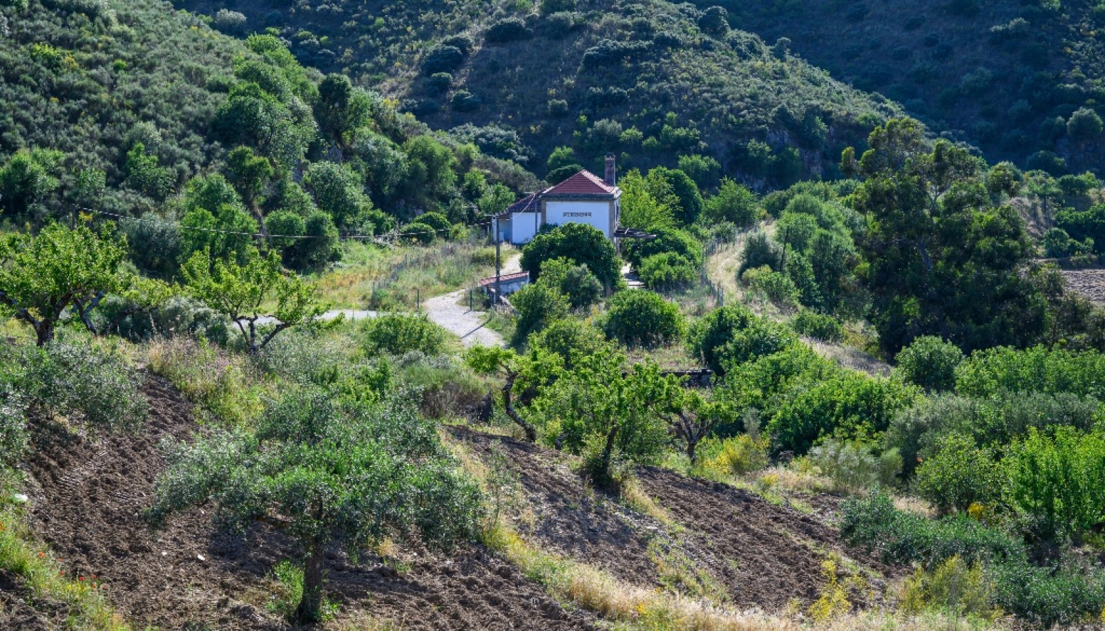Magnifique domaine viticole à vendre dans la vallée du Douro, Portugal_371798