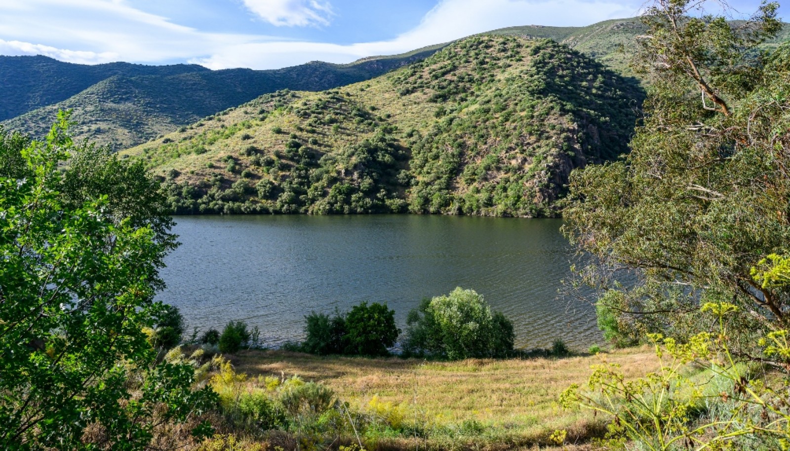 Magnifique domaine viticole à vendre dans la vallée du Douro, Portugal_371799