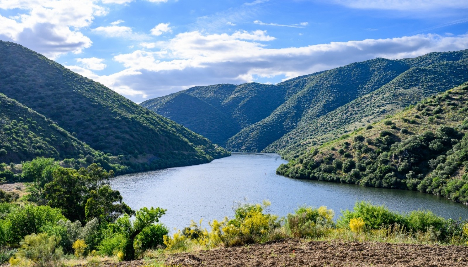 Magnifique domaine viticole à vendre dans la vallée du Douro, Portugal_371800