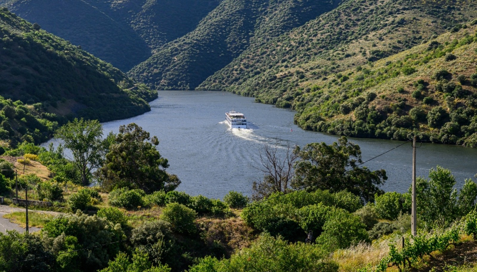 Magnifique domaine viticole à vendre dans la vallée du Douro, Portugal_371802