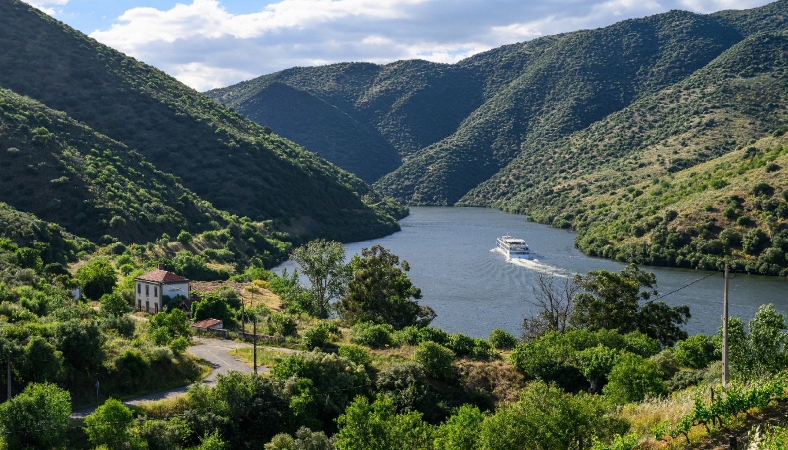 Magnifique domaine viticole à vendre dans la vallée du Douro, Portugal_371803