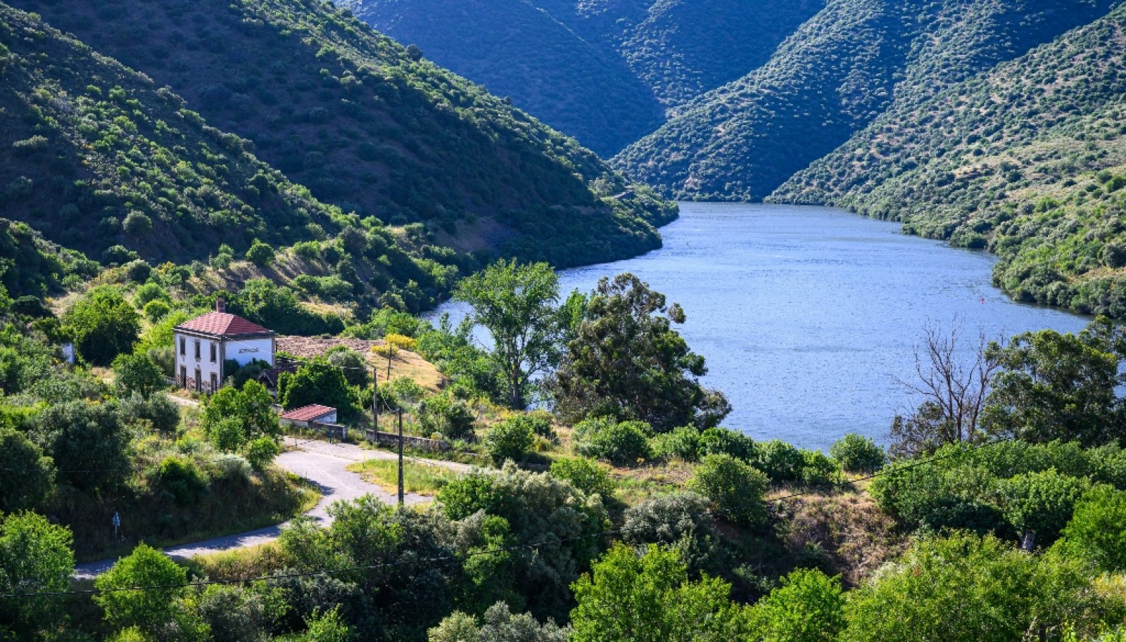 Magnifique domaine viticole à vendre dans la vallée du Douro, Portugal_371805
