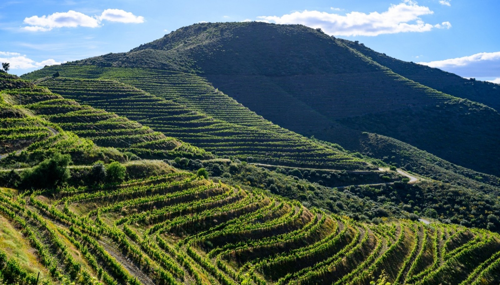 Magnifique domaine viticole à vendre dans la vallée du Douro, Portugal_371806