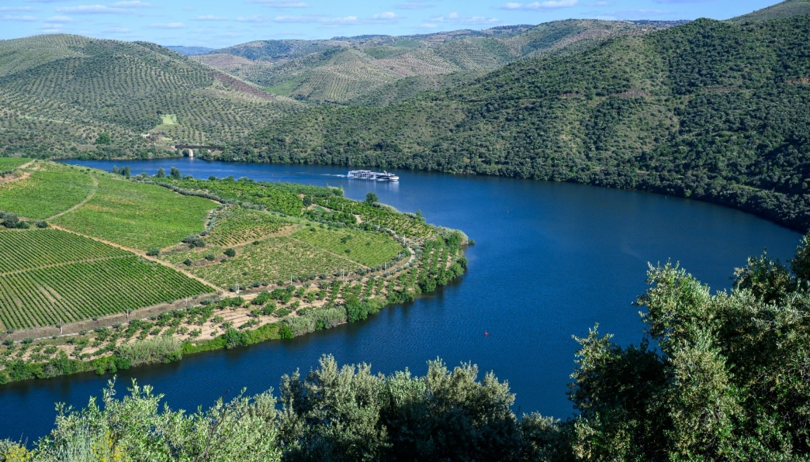 Magnifique domaine viticole à vendre dans la vallée du Douro, Portugal_371807