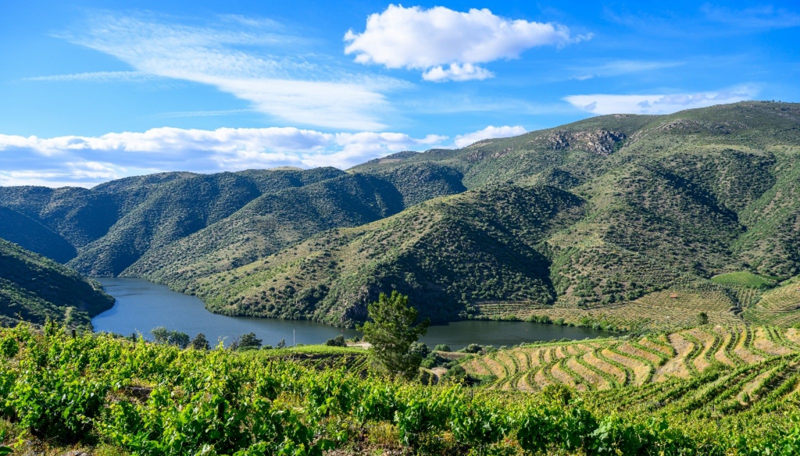 Magnifique domaine viticole à vendre dans la vallée du Douro, Portugal_371808