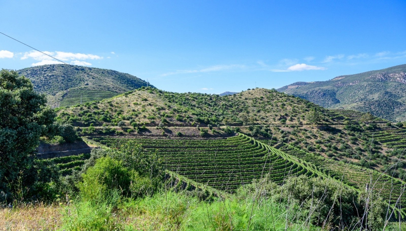 Magnifique domaine viticole à vendre dans la vallée du Douro, Portugal_371809