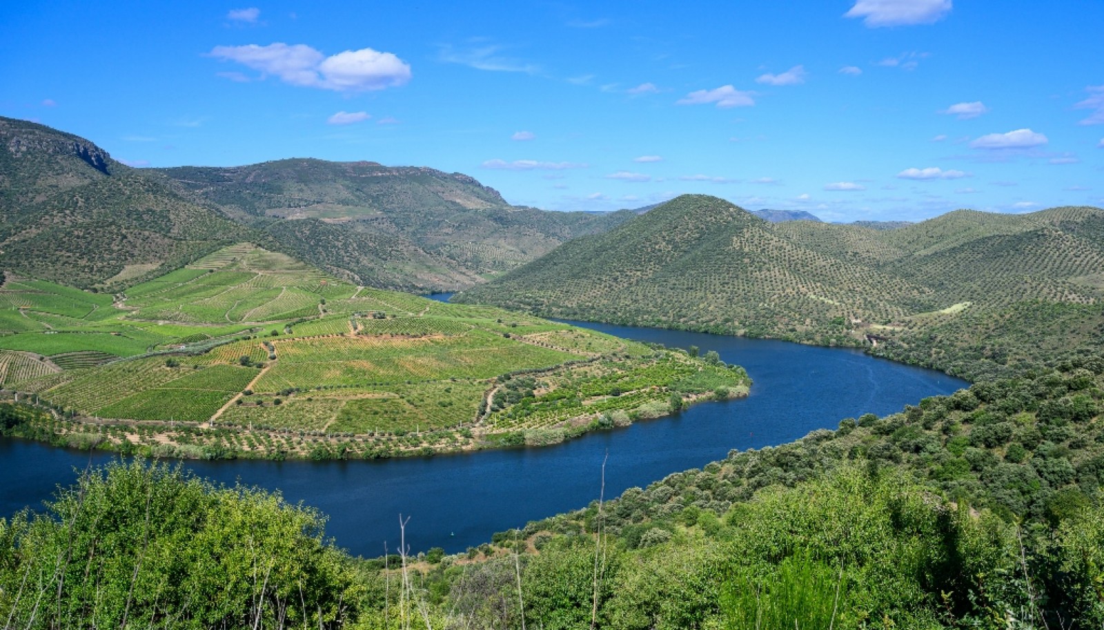 Magnifique domaine viticole à vendre dans la vallée du Douro, Portugal_371810