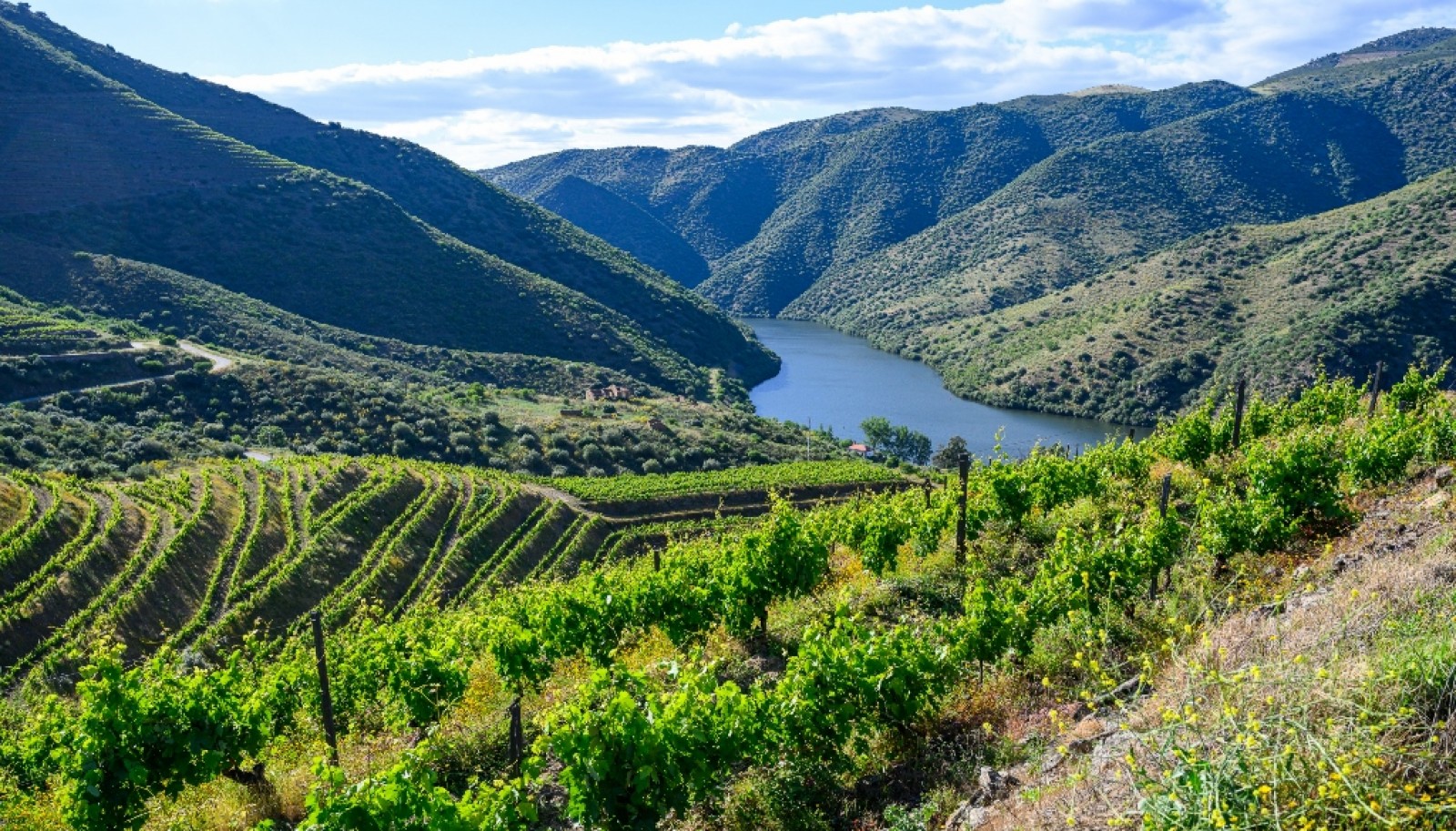 Magnifique domaine viticole à vendre dans la vallée du Douro, Portugal_371811
