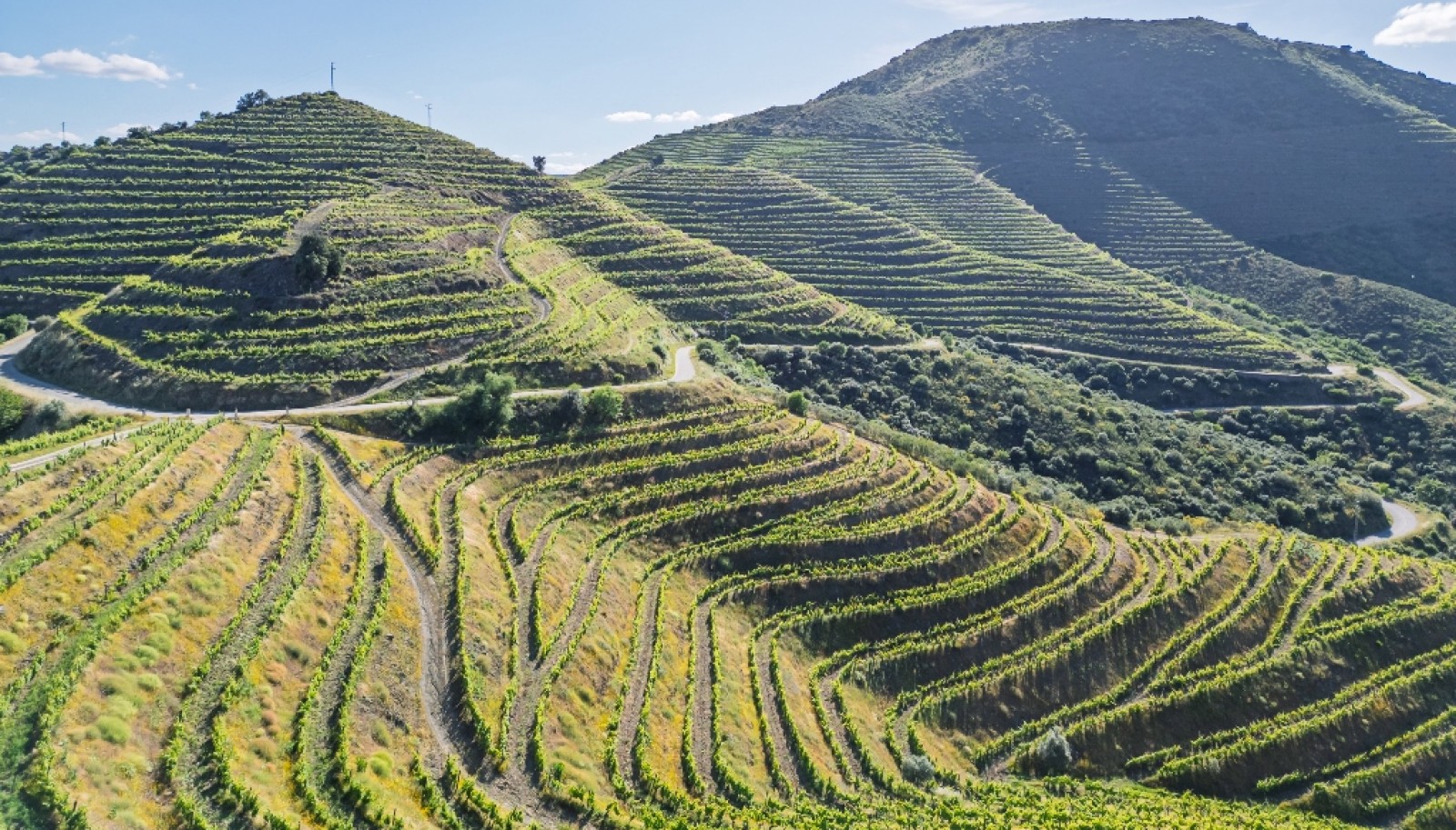 Magnifique domaine viticole à vendre dans la vallée du Douro, Portugal_371813