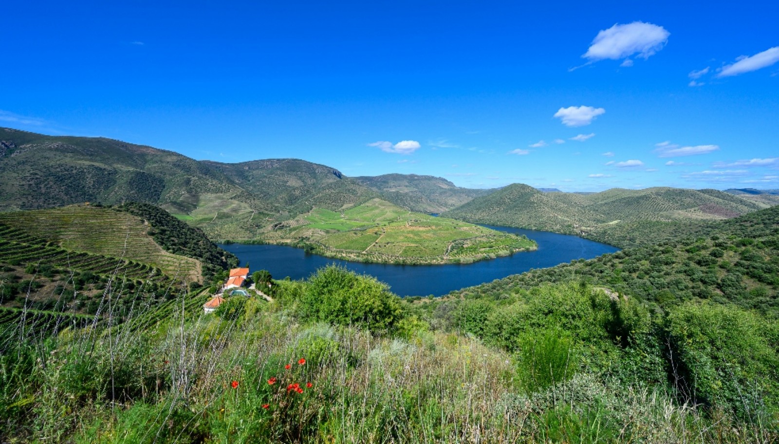 Magnifique domaine viticole à vendre dans la vallée du Douro, Portugal_371814