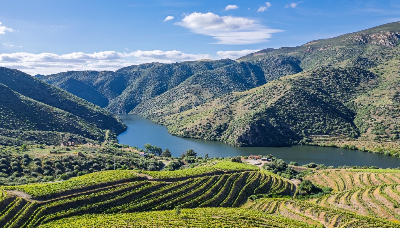 Magnifique domaine viticole à vendre dans la vallée du Douro, Portugal_371815