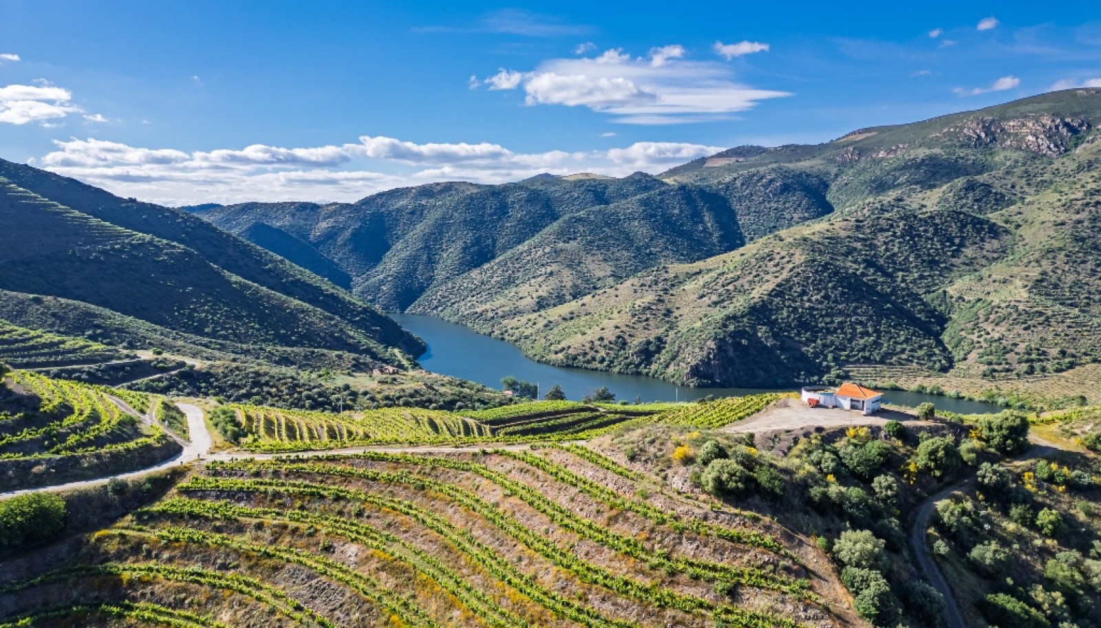 Magnifique domaine viticole à vendre dans la vallée du Douro, Portugal_371816