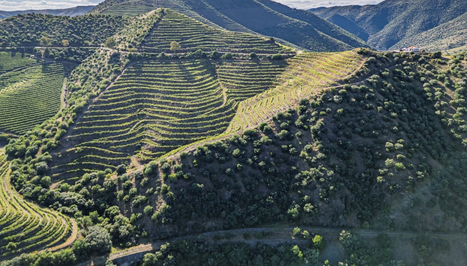 Magnifique domaine viticole à vendre dans la vallée du Douro, Portugal_371817