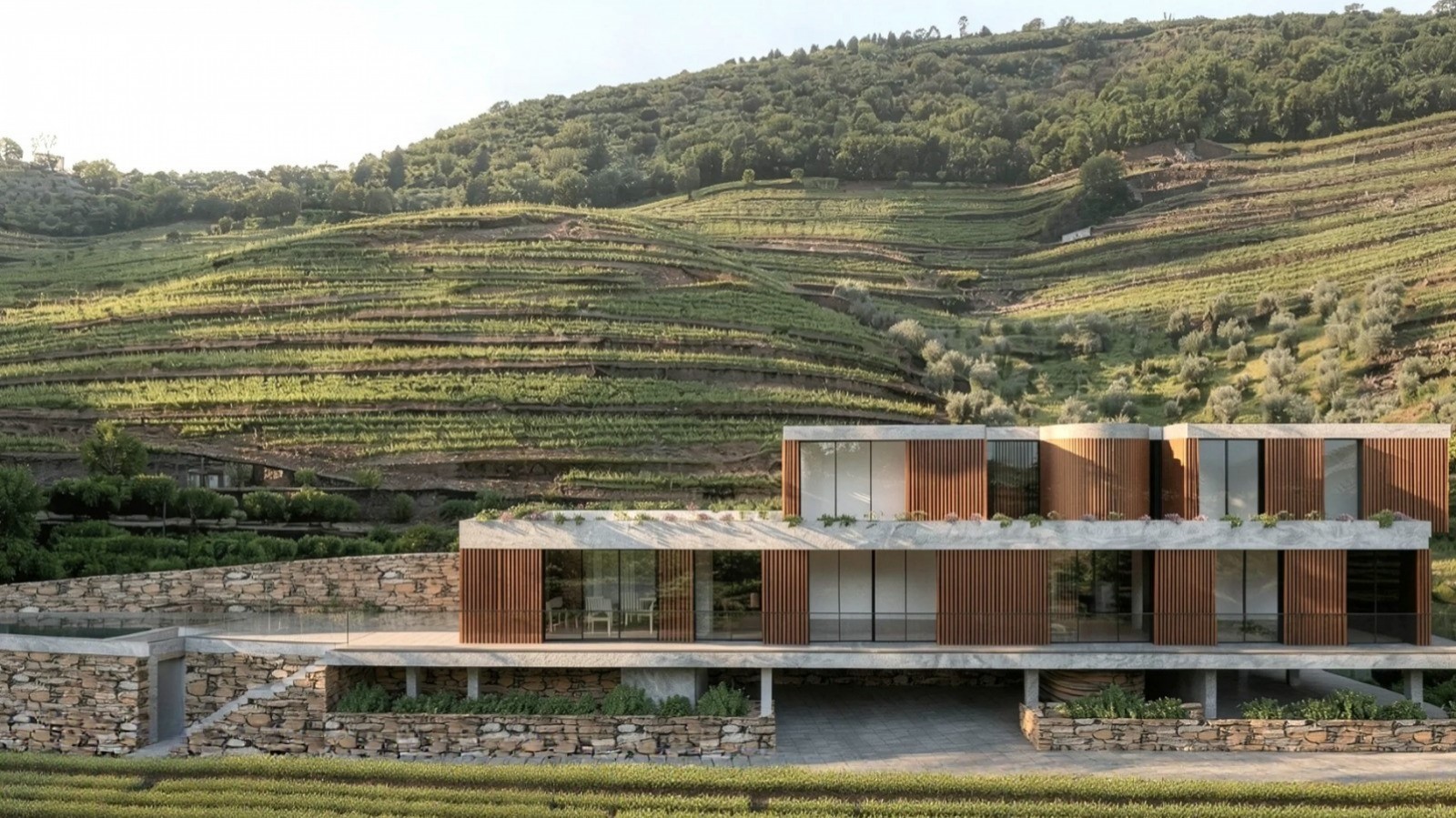 Finca vinícola en venta en Mesão Frio en el Valle del Duero, Portugal_377979