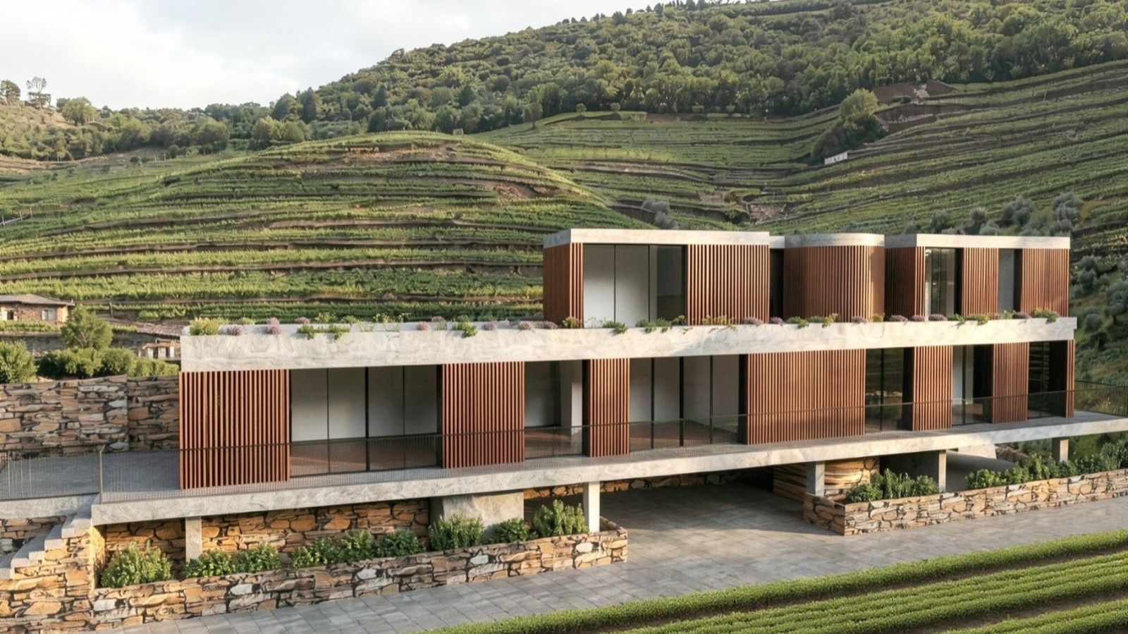 Finca vinícola en venta en Mesão Frio en el Valle del Duero, Portugal_377980
