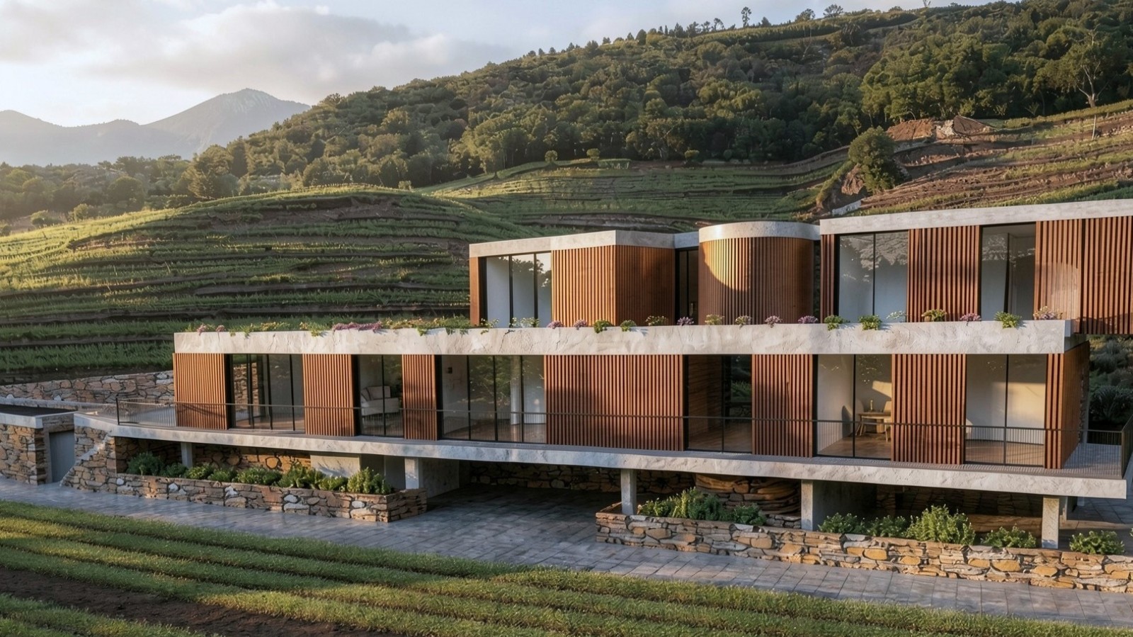 Finca vinícola en venta en Mesão Frio en el Valle del Duero, Portugal_377982