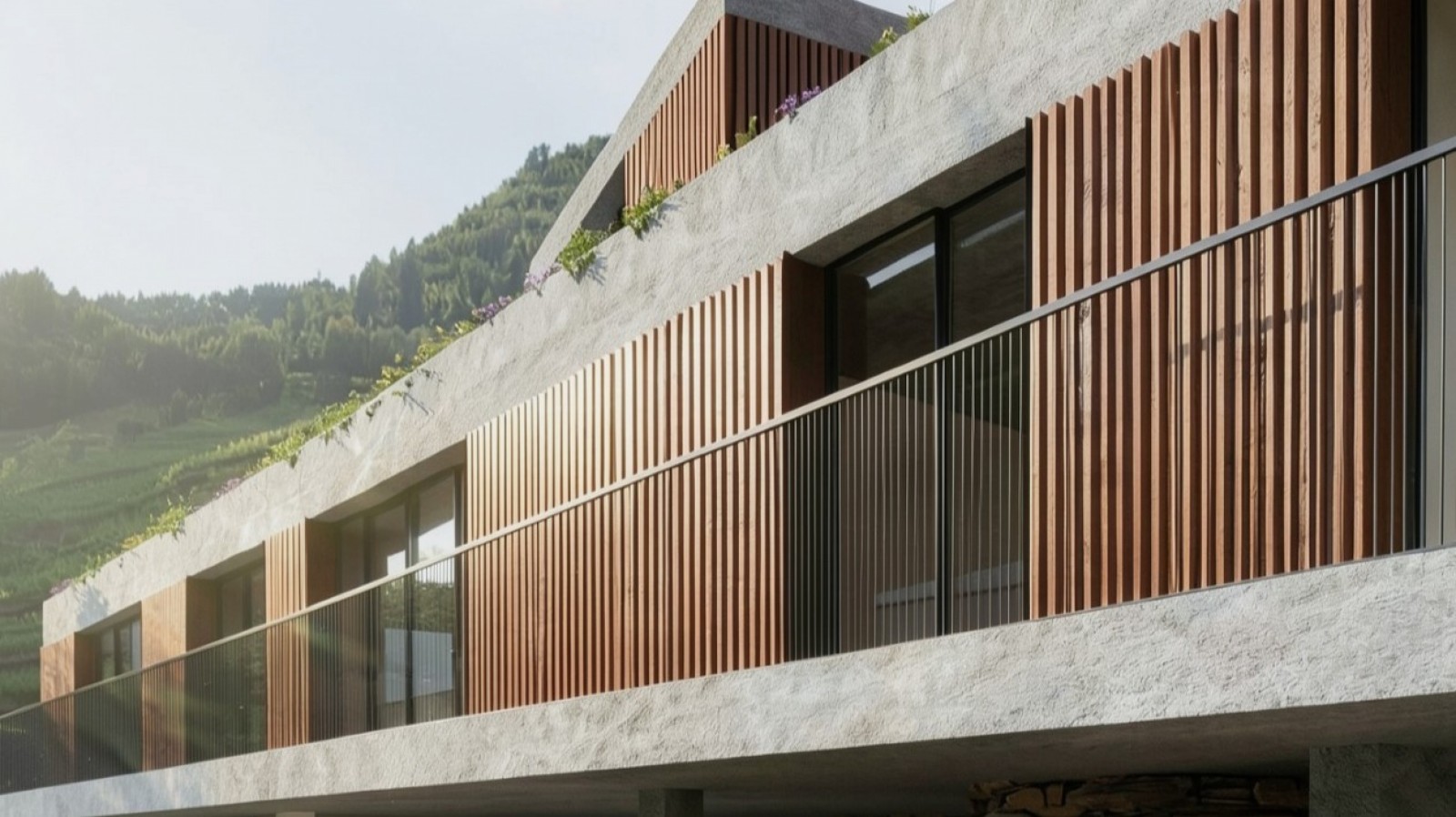 Finca vinícola en venta en Mesão Frio en el Valle del Duero, Portugal_377984