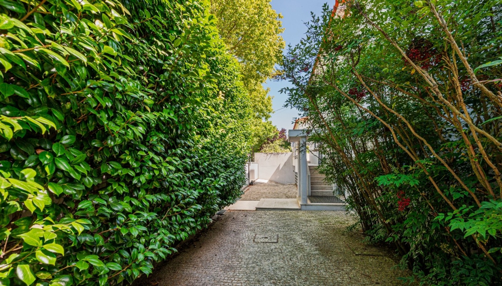 Maison 3 chambres avec jardin à Quartier Marechal à Porto, Portugal_380603