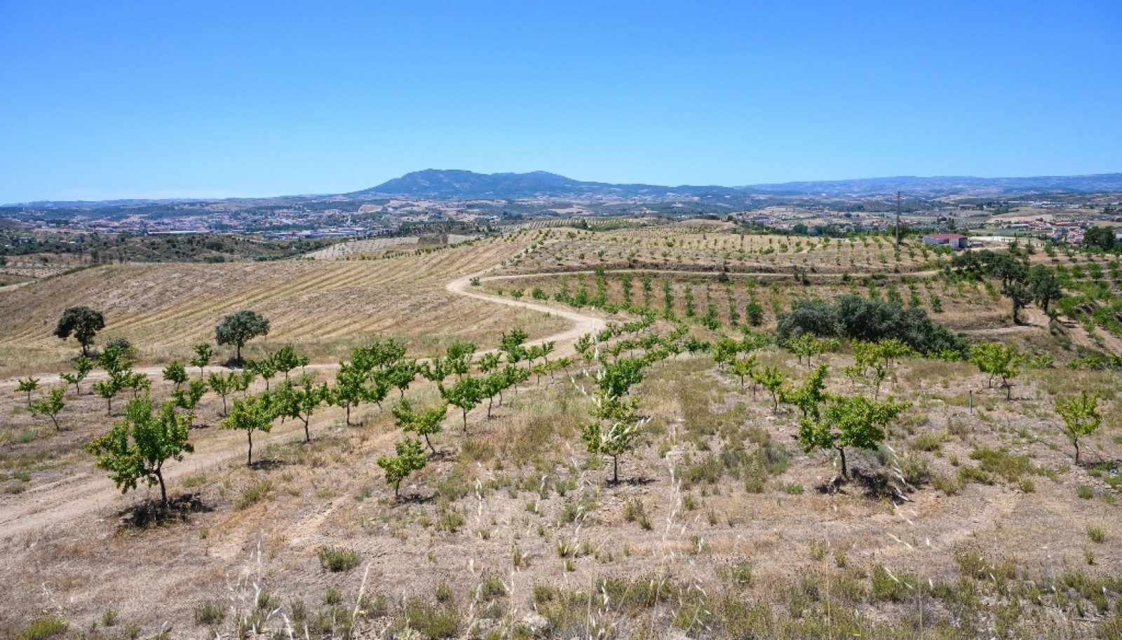 Finca de lujo en el interior del Duero, en Mirandela, Portugal_382442