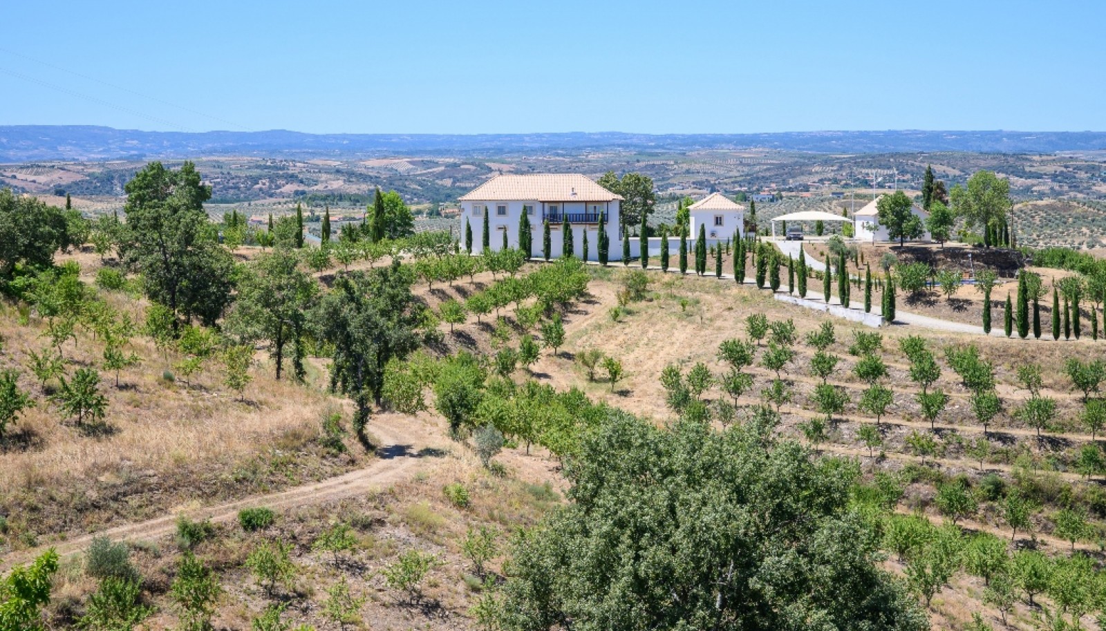 Finca de lujo en el interior del Duero, en Mirandela, Portugal_382454