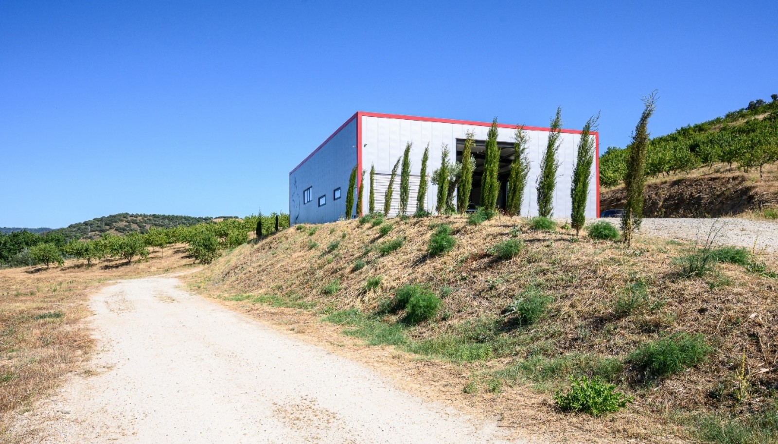 Finca de lujo en el interior del Duero, en Mirandela, Portugal_382504