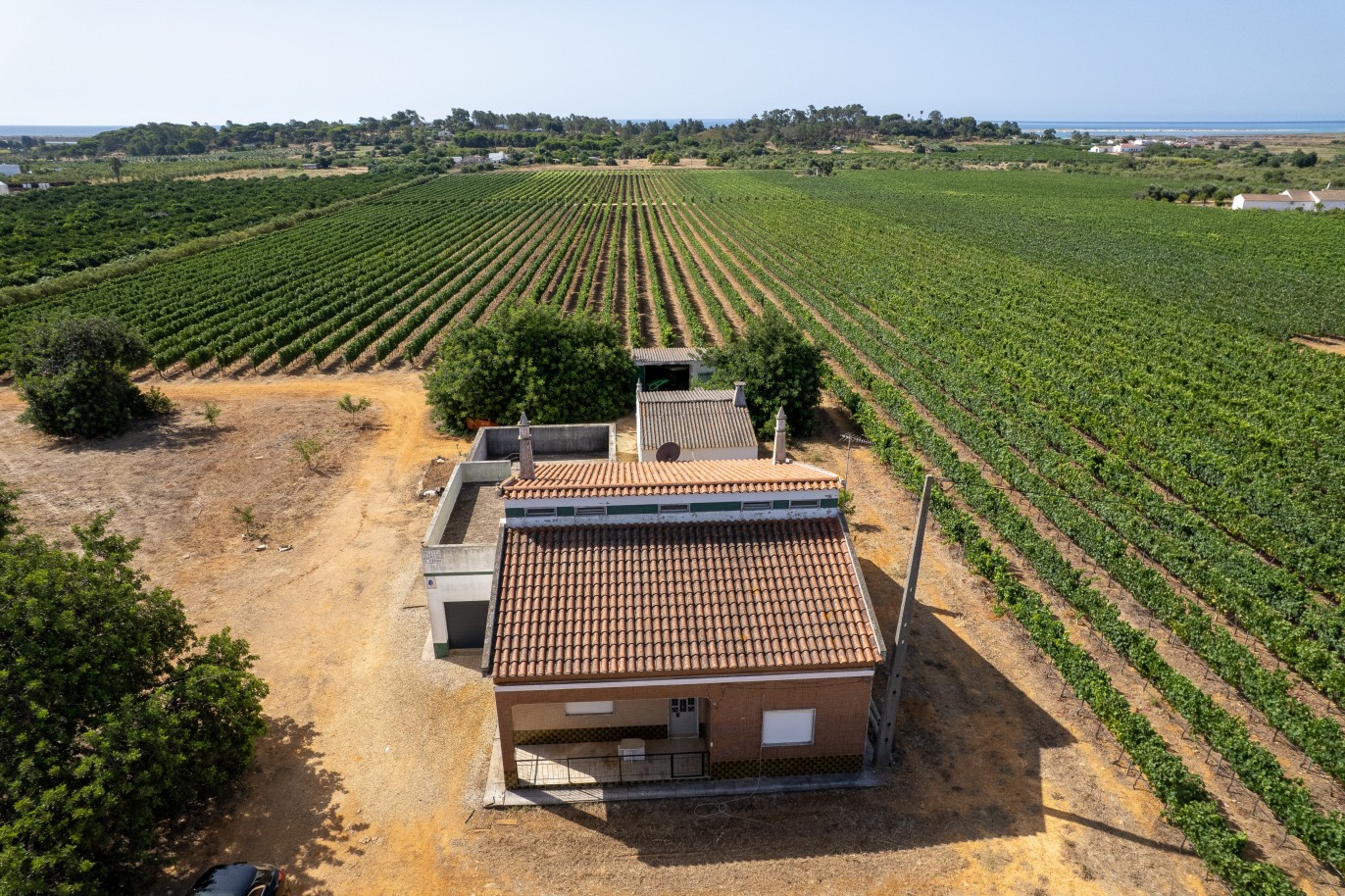 Espetacular Quinta vinícola, à venda em Tavira, Algarve_383762