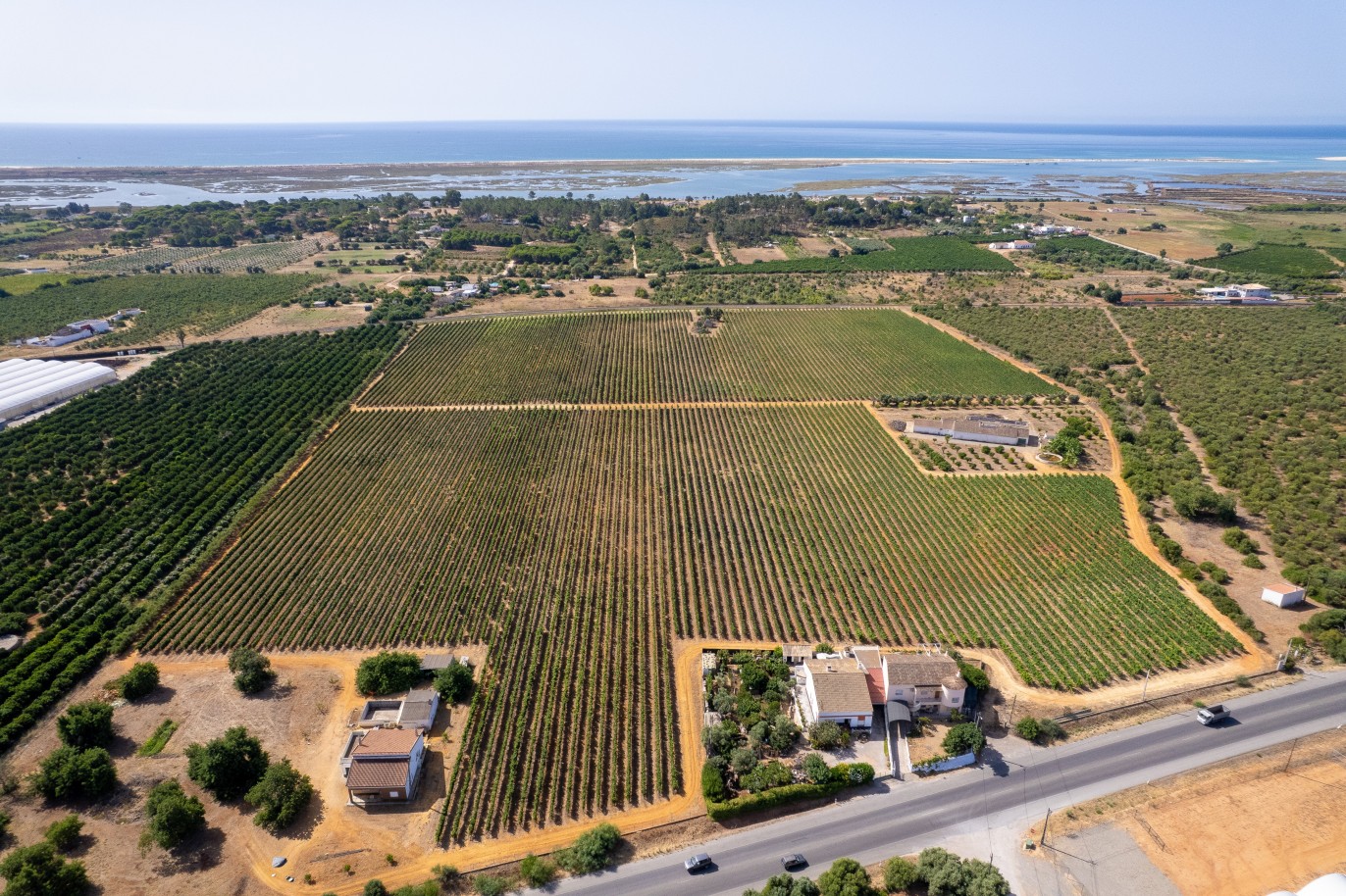 Espetacular Quinta vinícola, à venda em Tavira, Algarve_383764