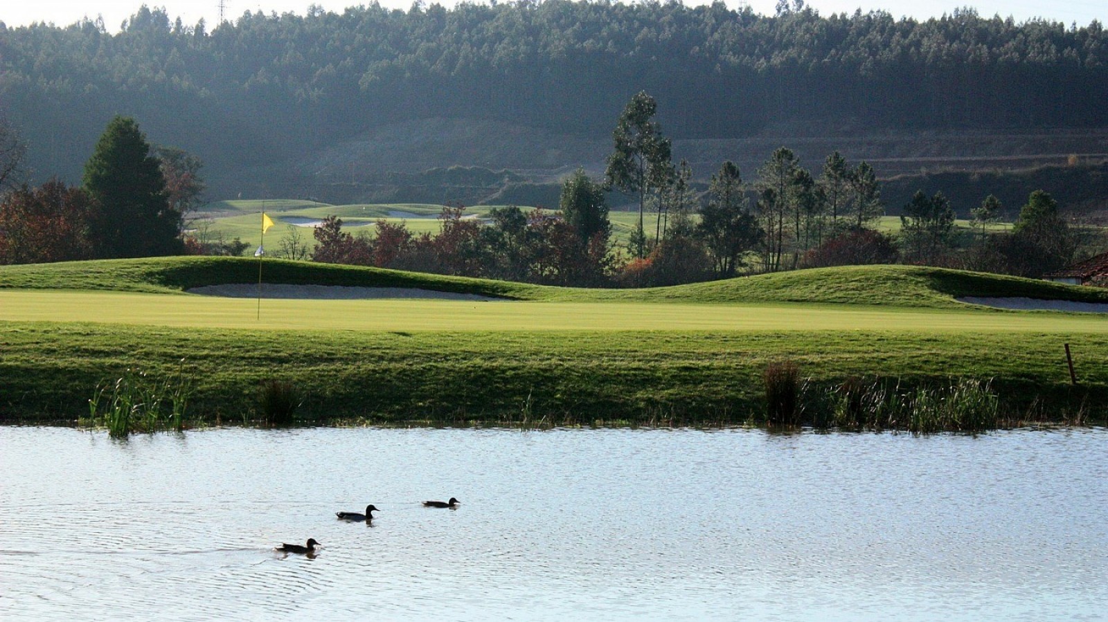 Vivienda con piscina en Golf Vale Pisão Resort cerca de Porto, Portugal_384385