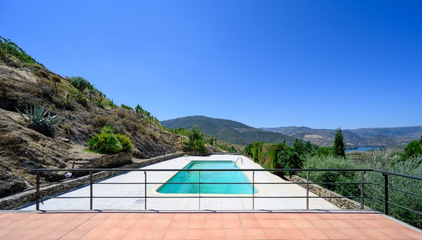 Farm with views to Douro river, Douro Demarcated Region, Portugal_385669