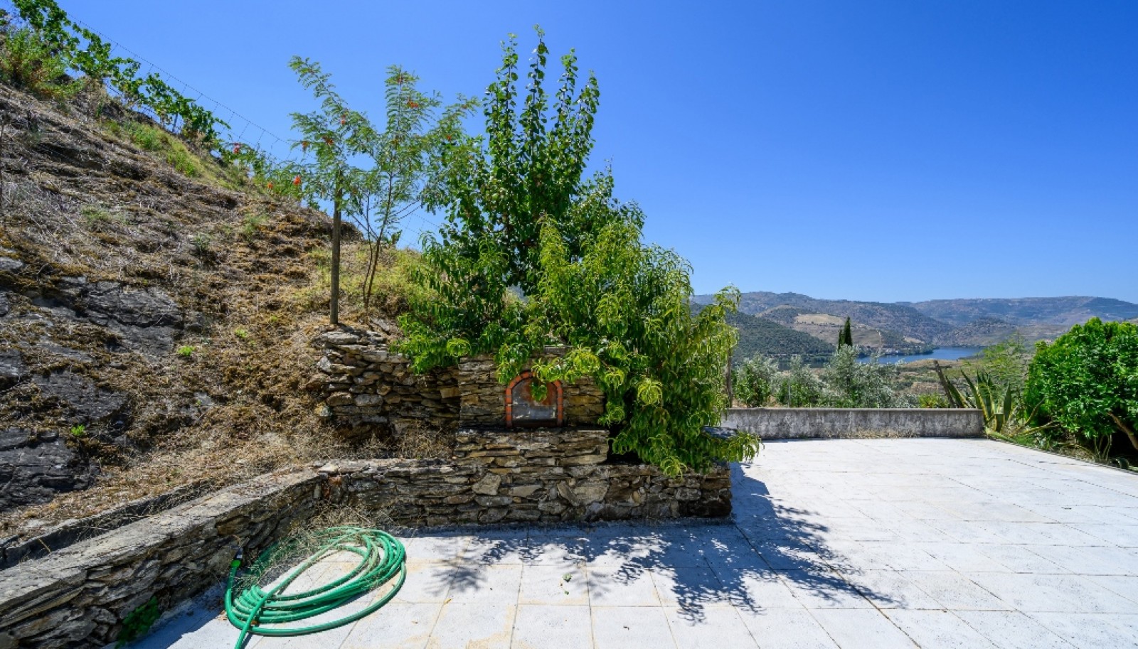 Farm with views to Douro river, Douro Demarcated Region, Portugal_385673