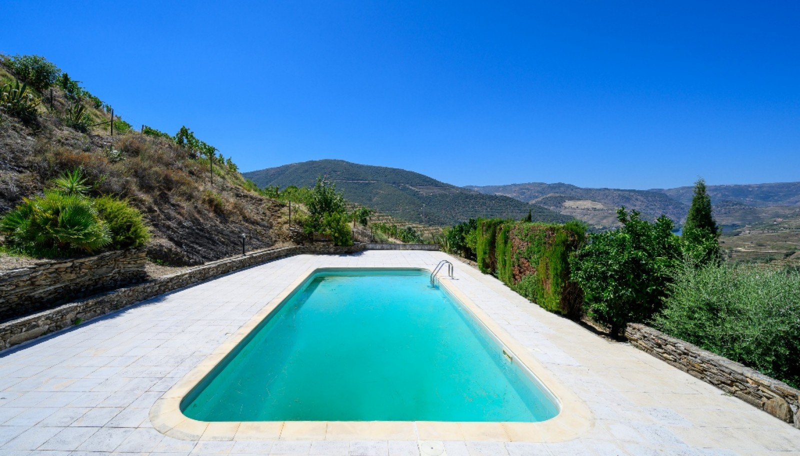 Farm with views to Douro river, Douro Demarcated Region, Portugal_385674