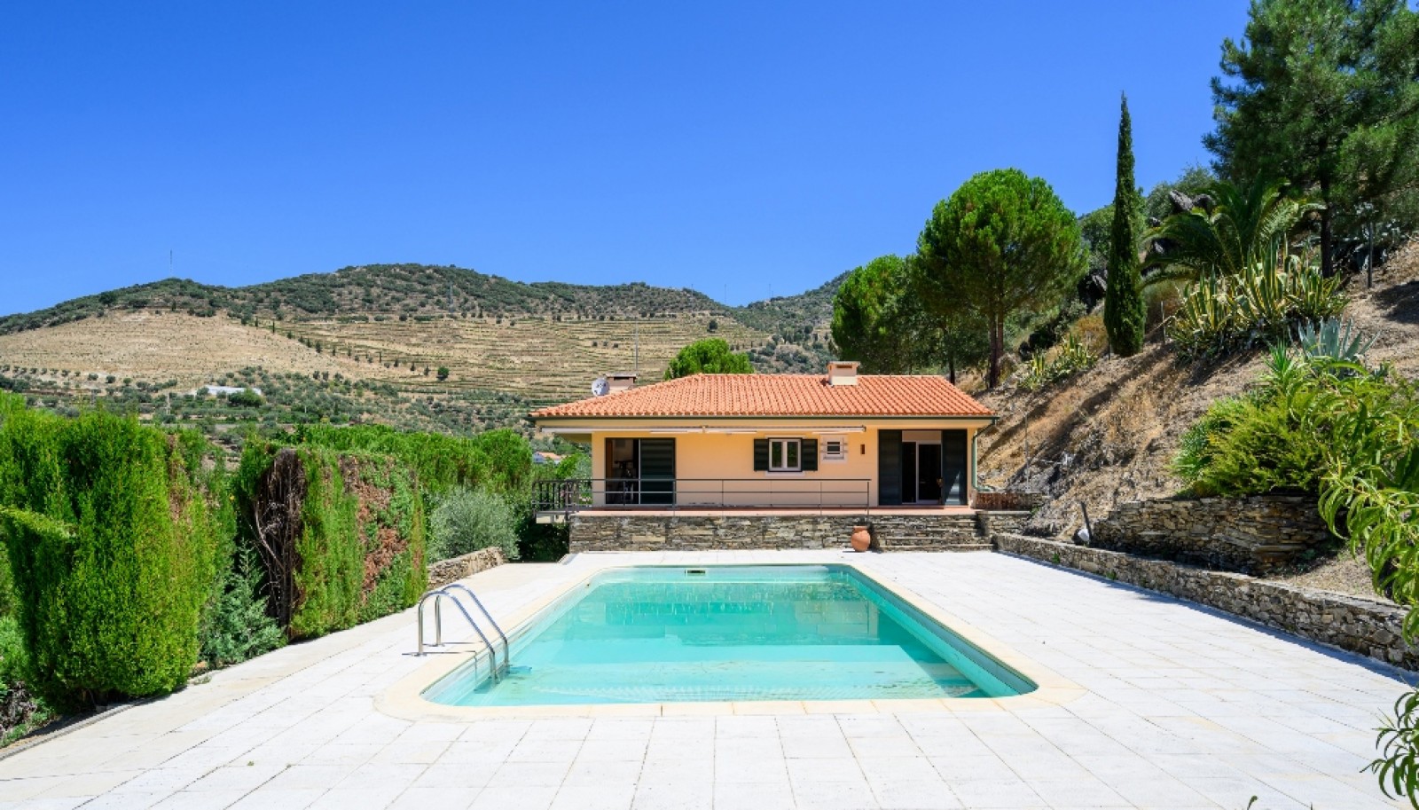 Farm with views to Douro river, Douro Demarcated Region, Portugal_385676
