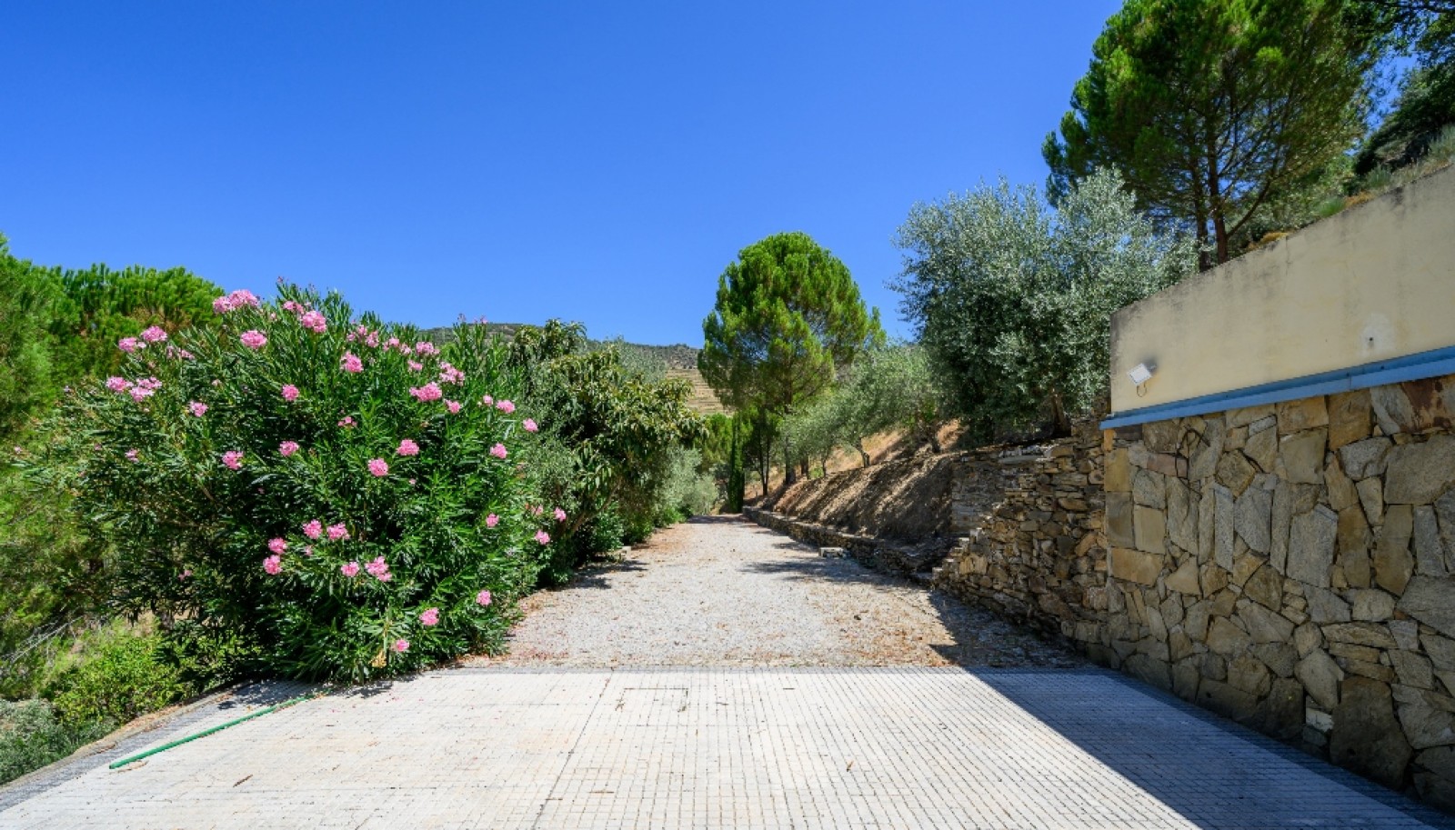 Farm with views to Douro river, Douro Demarcated Region, Portugal_385677