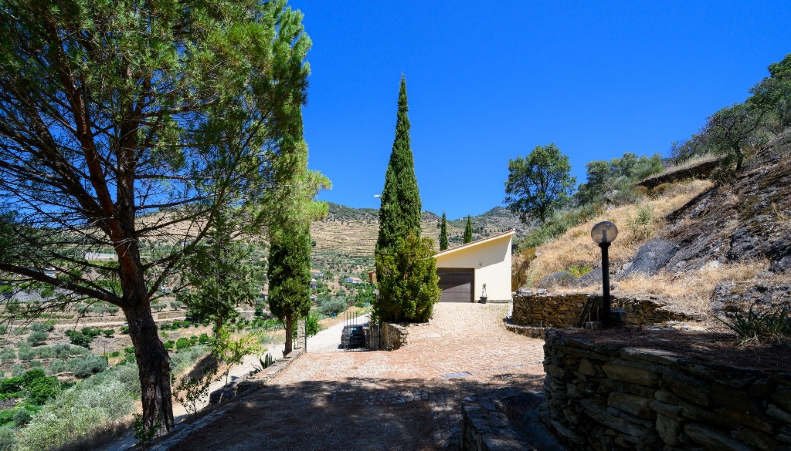 Farm with views to Douro river, Douro Demarcated Region, Portugal_385682