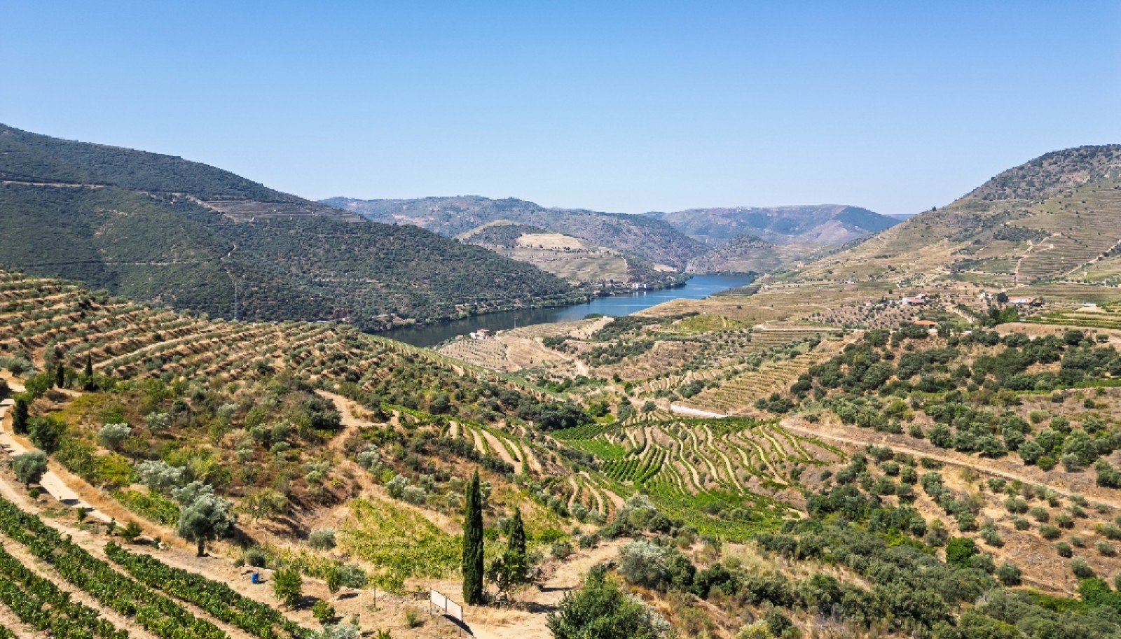 Farm with views to Douro river, Douro Demarcated Region, Portugal_385683