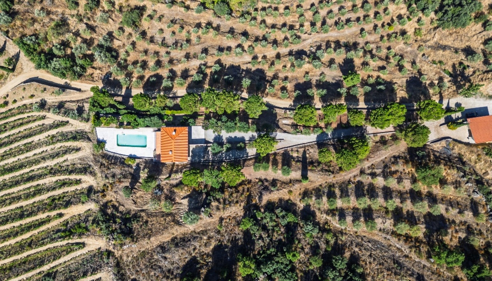 Farm with views to Douro river, Douro Demarcated Region, Portugal_385686