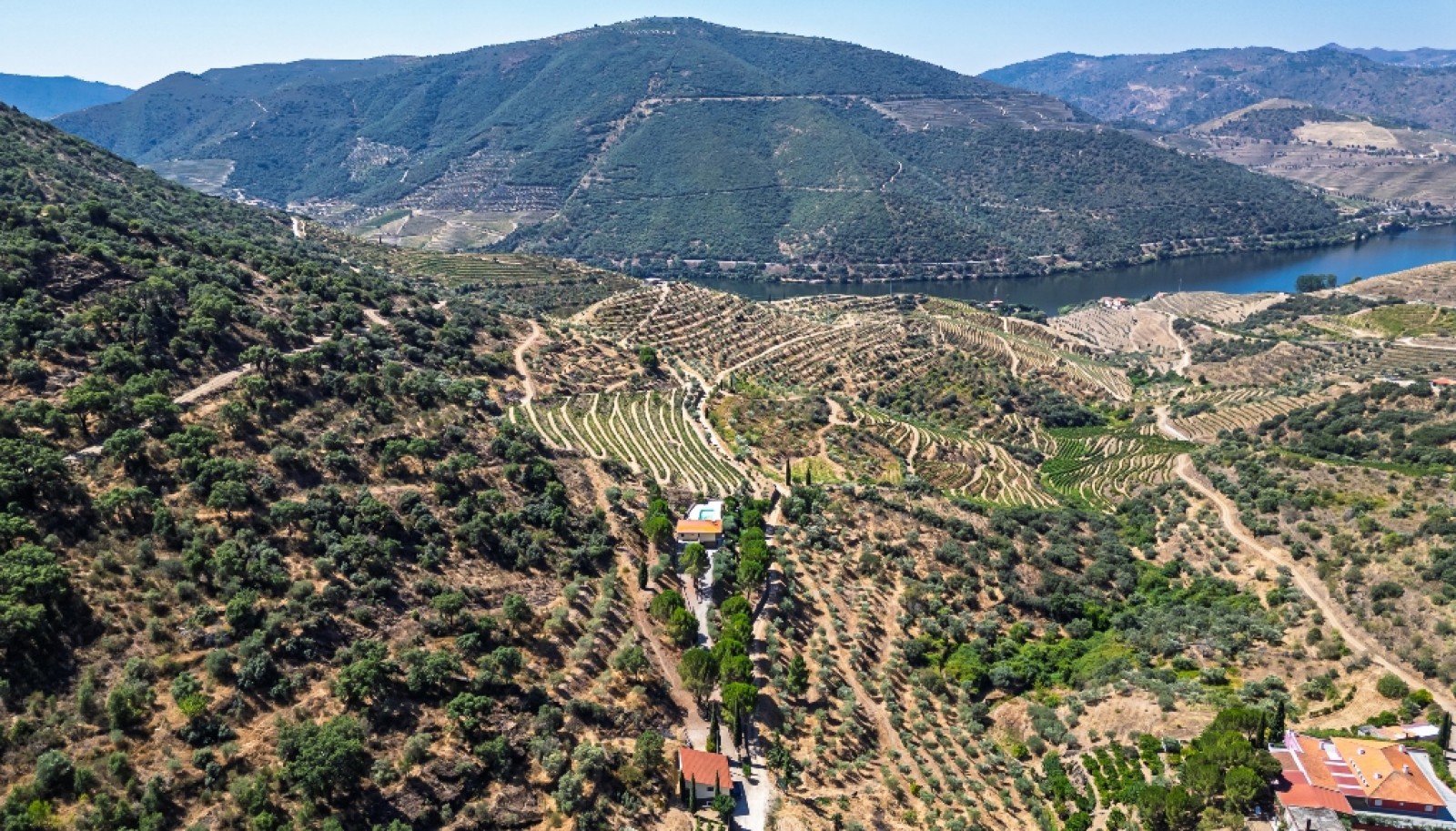 Farm with views to Douro river, Douro Demarcated Region, Portugal_385699