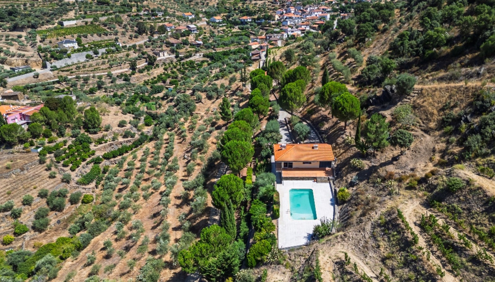 Farm with views to Douro river, Douro Demarcated Region, Portugal_385700
