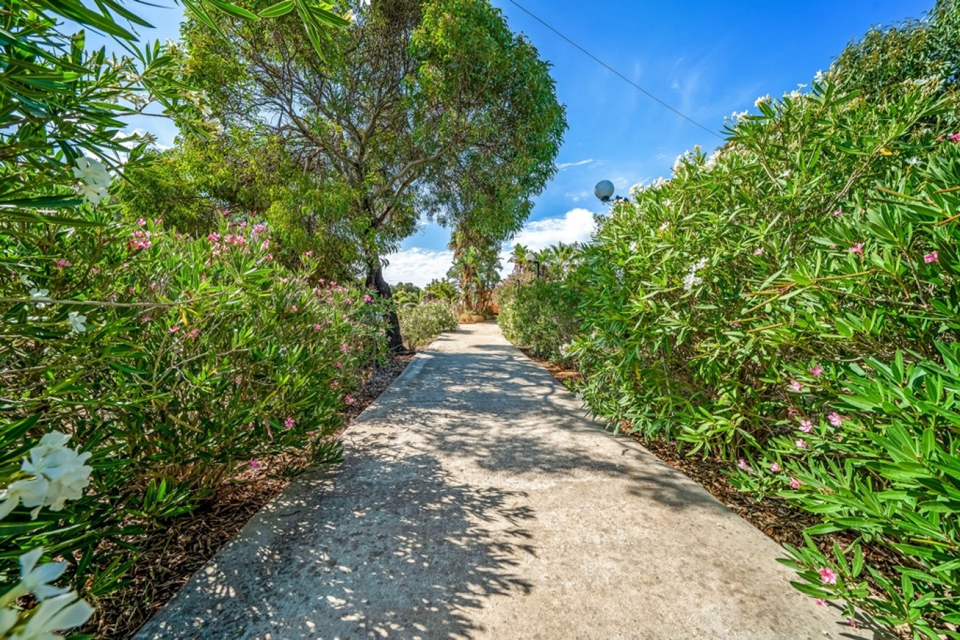 Stunning Farm for Sale in Budens, Algarve, Portugal_387038