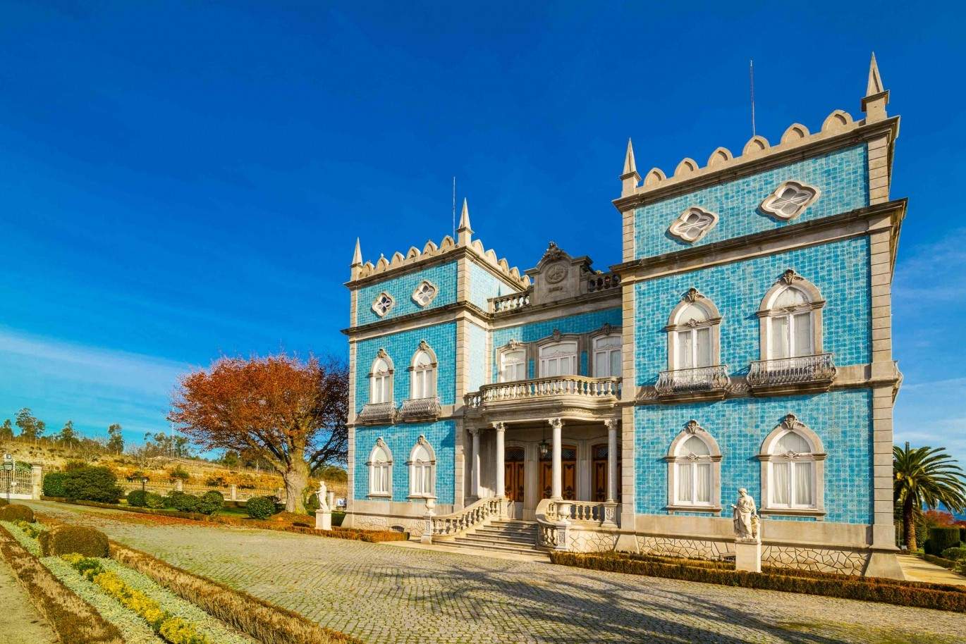 Finca vinícola, con el palacio señorial y jardines, Póvoa de Lanhoso, Portugal_38870