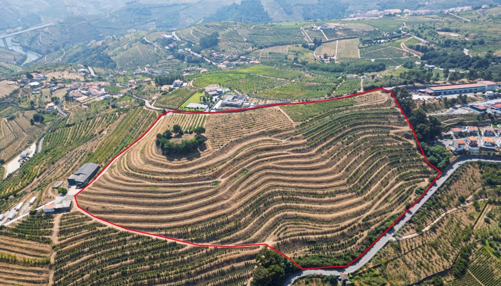 Farm for sale in Lamego in the Douro region, Portugal_393404