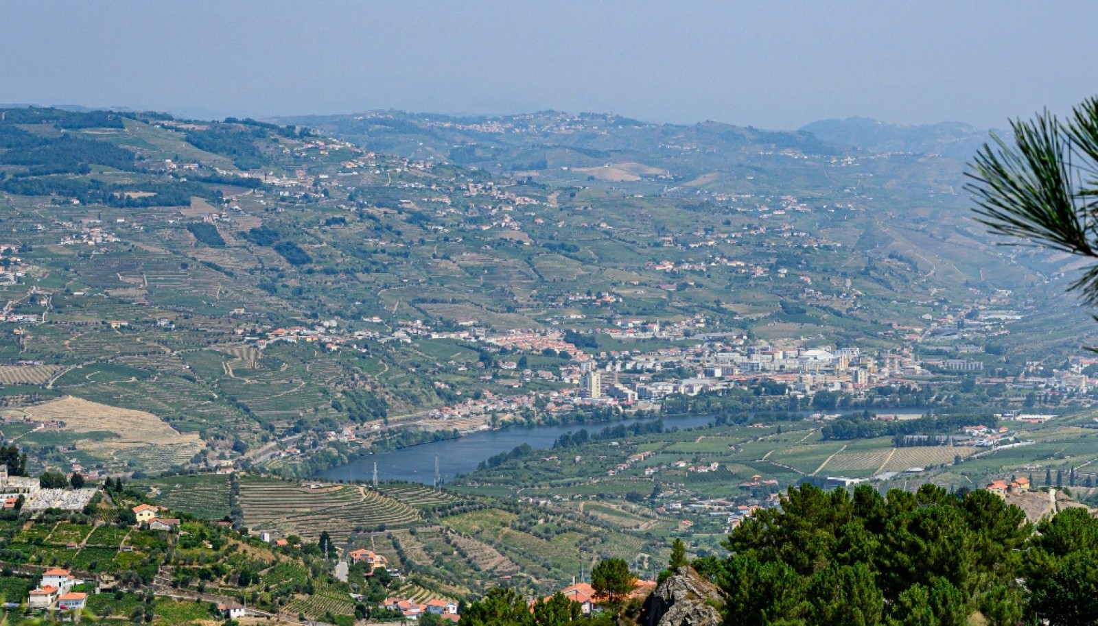Farm for sale in Lamego in the Douro region, Portugal_393416