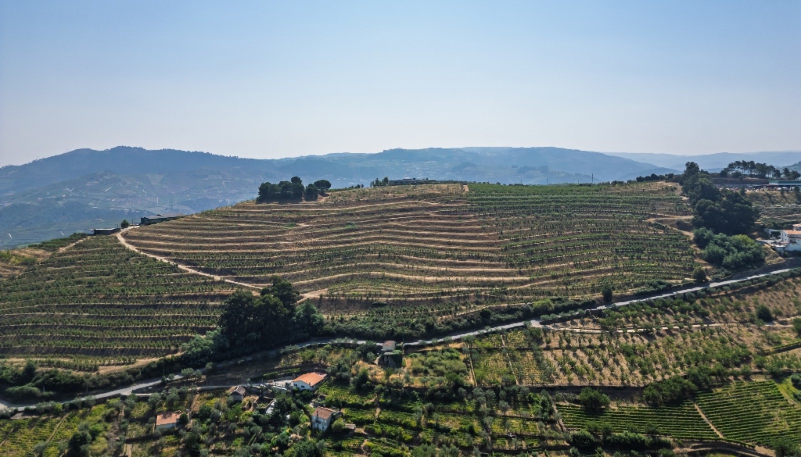 Farm for sale in Lamego in the Douro region, Portugal_393432
